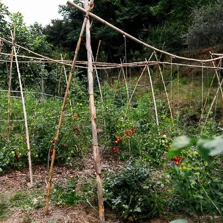 L'eremo-rifugio Escursionistico.10 Min Steep Walk! *