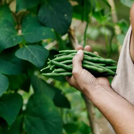 L'eremo-rifugio Escursionistico.10 Min Steep Walk! 农家乐 *