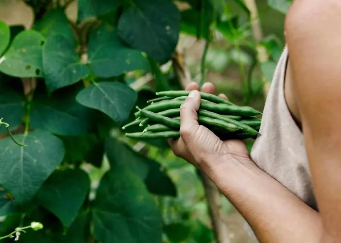 L'eremo-rifugio Escursionistico.10 Min Steep Walk! 农家乐 *