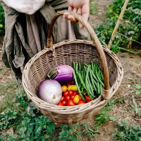 L'eremo-rifugio Escursionistico10 Min Steep Walk! 农家乐 *