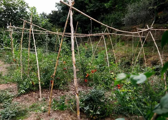 L'eremo-rifugio Escursionistico10 Min Steep Walk! *