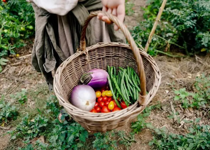 L'eremo-rifugio Escursionistico10 Min Steep Walk! Farmház *
